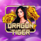 Dragon Tiger on one xbet live casino