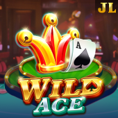 Wild Ace on one xbet